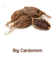 Big Cardomom
